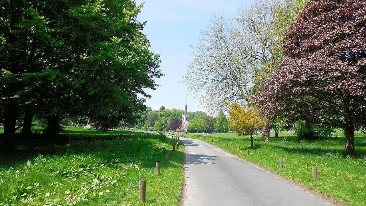The road through Stanmer Park on a bright day, with the spire of Stanmer Church among the trees ahead.